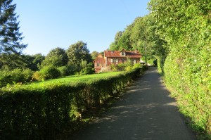 bosquillonCassel_1606